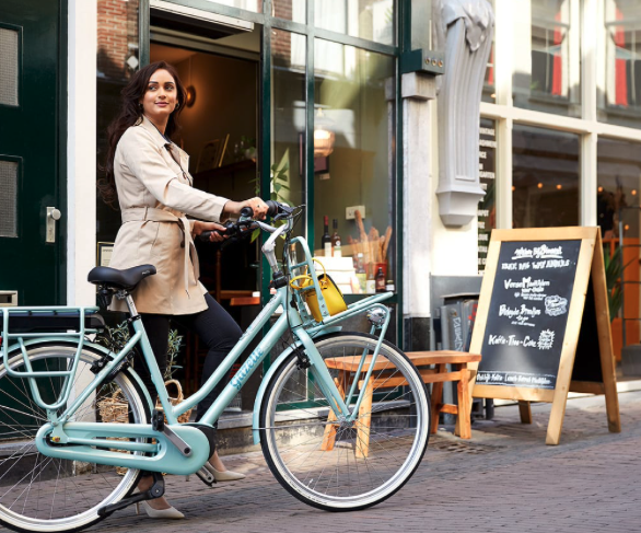 Stoere damesfiets, Gazelle Miss Grace 2023