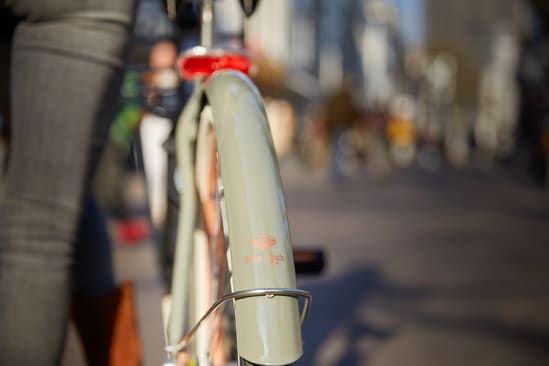 Stoere damesfiets, Gazelle Miss Grace 2023